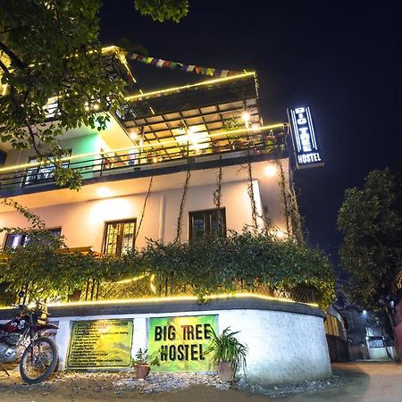Big Tree Hostel Kathmandu Luaran gambar