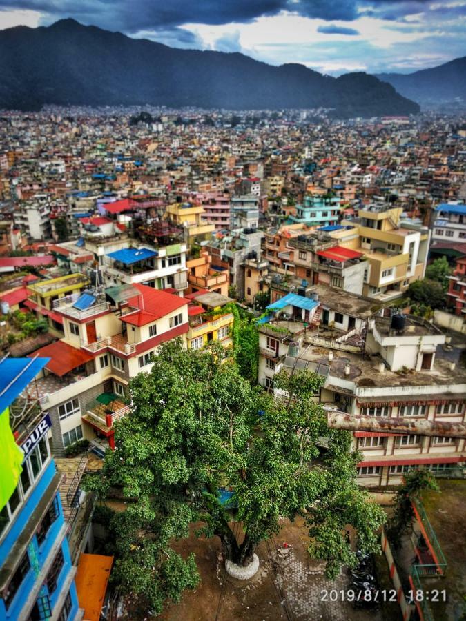 Big Tree Hostel Kathmandu Luaran gambar