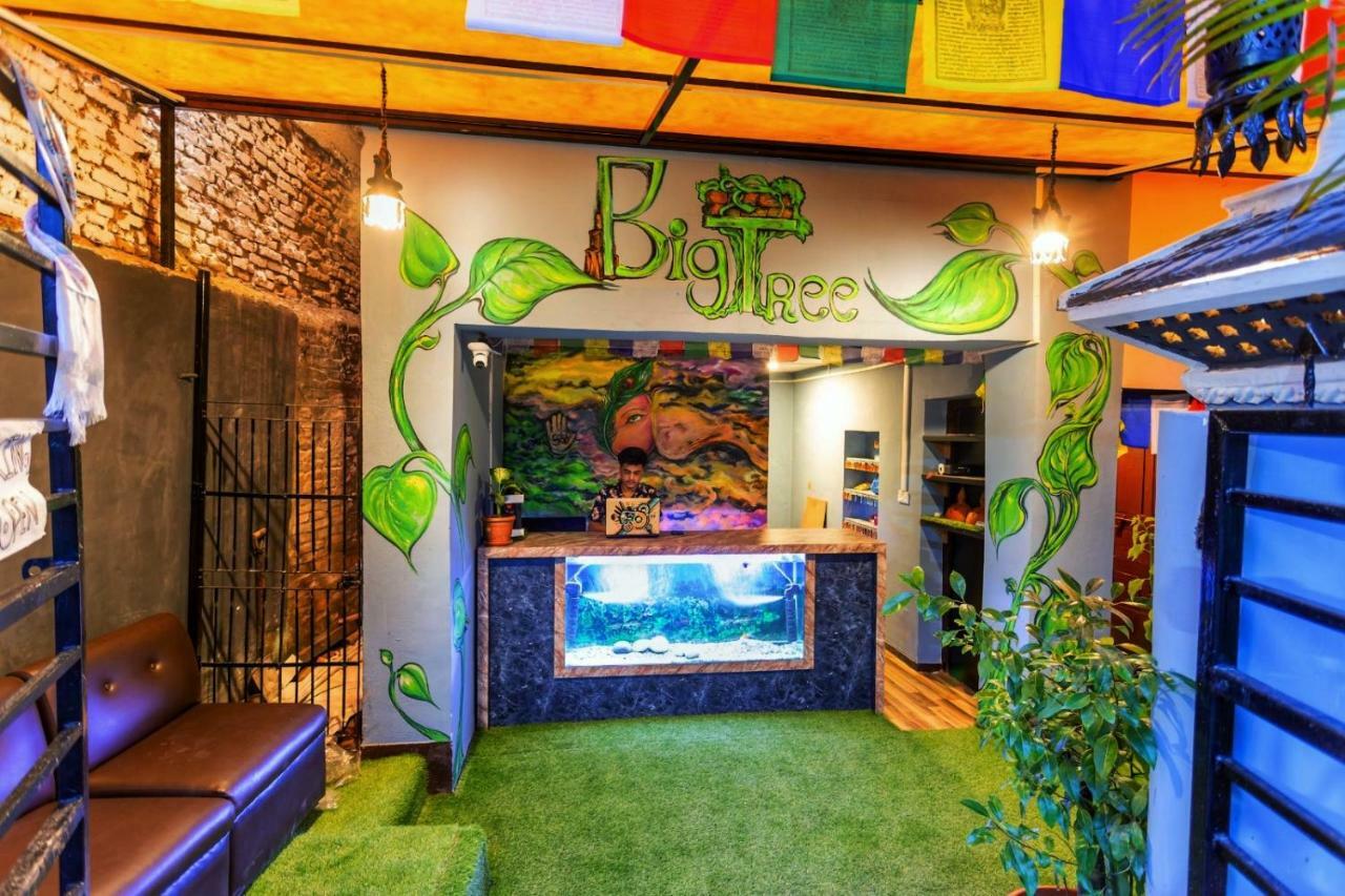Big Tree Hostel Kathmandu Luaran gambar
